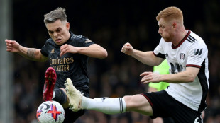 Angleterre: Arsenal ne l&acirc;che rien, Newcastle reprend des couleurs, Manchester United muet
