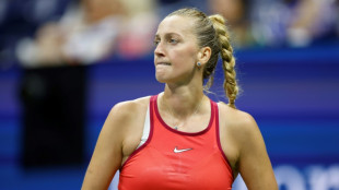 Bicampe&atilde; de Wimbledon, Petra Kvitova d&aacute; &agrave; luz seu primeiro filho
