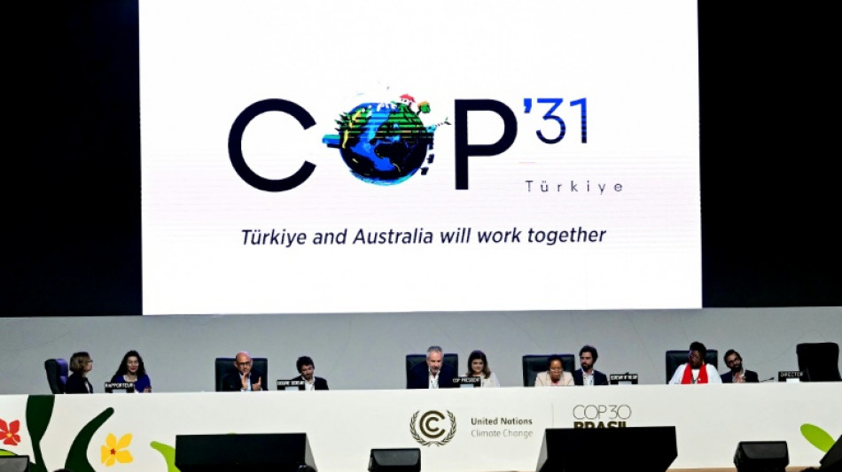 COP31 hosts urged to 'lead by example' on fossil fuels