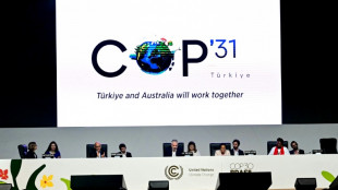 COP31 hosts urged to 'lead by example' on fossil fuels