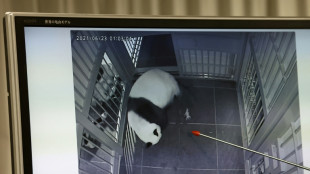 Japan's only two pandas to be sent back to China