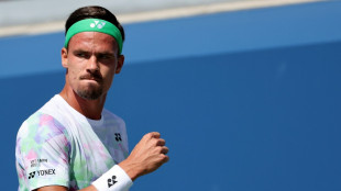 Davis Cup: Altmaier bringt Deutschland in F&uuml;hrung