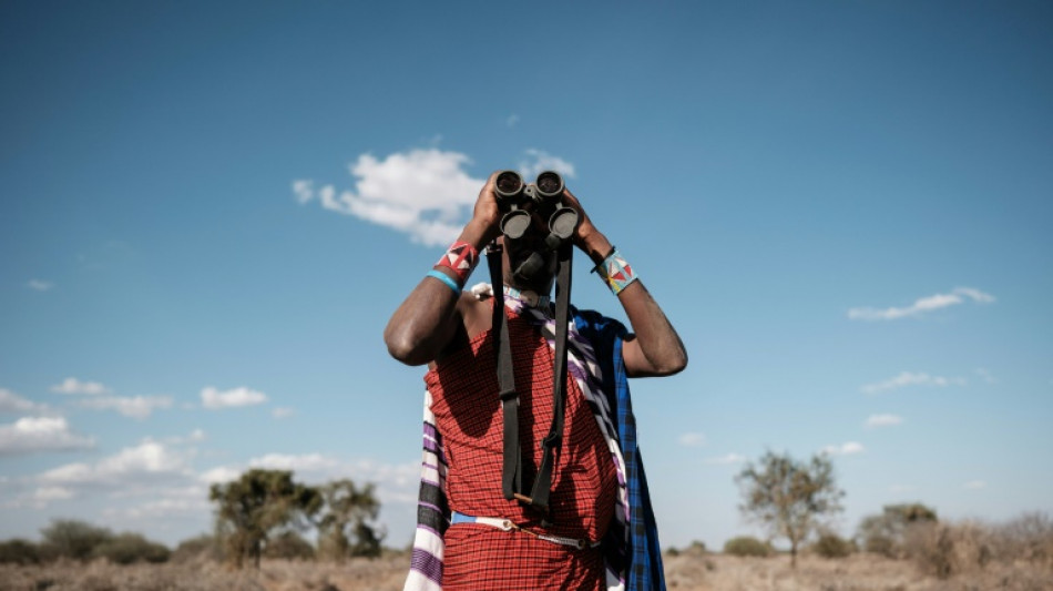 Kenya: mon&eacute;tiser oiseaux ou girafes pour mieux prot&eacute;ger humains et nature