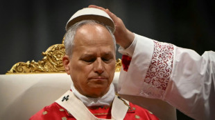 Pope urges 'disarming' of AI in major manifesto