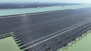 Mideast war lights fire under energy transition plans
