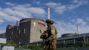 Selenskyj: Russland muss Verantwortung f&uuml;r Angriffe an Atomkraftwerk &uuml;bernehmen