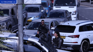 Media, 'attacco terroristico a sud Gerusalemme, 2 feriti'