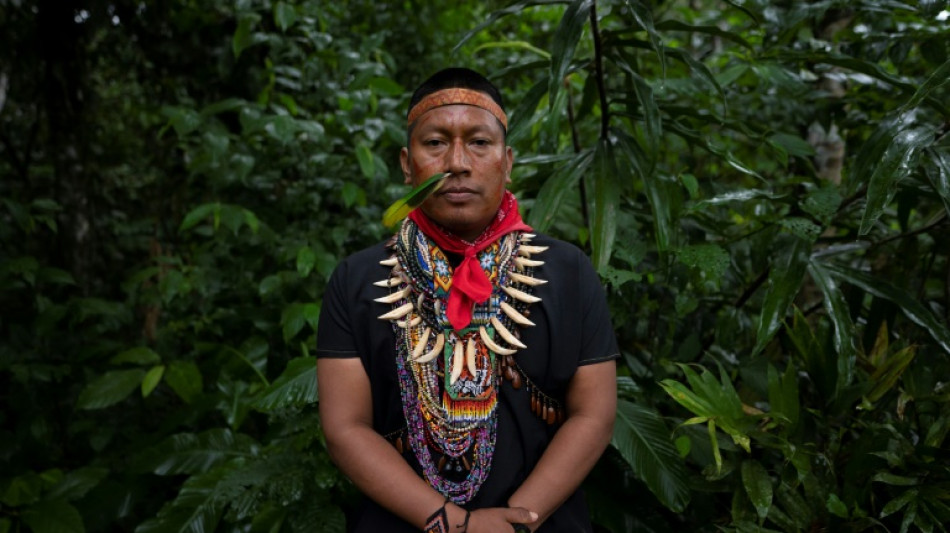 L&iacute;der ind&iacute;gena espera que a Amaz&ocirc;nia ganhe 'for&ccedil;a' na COP16