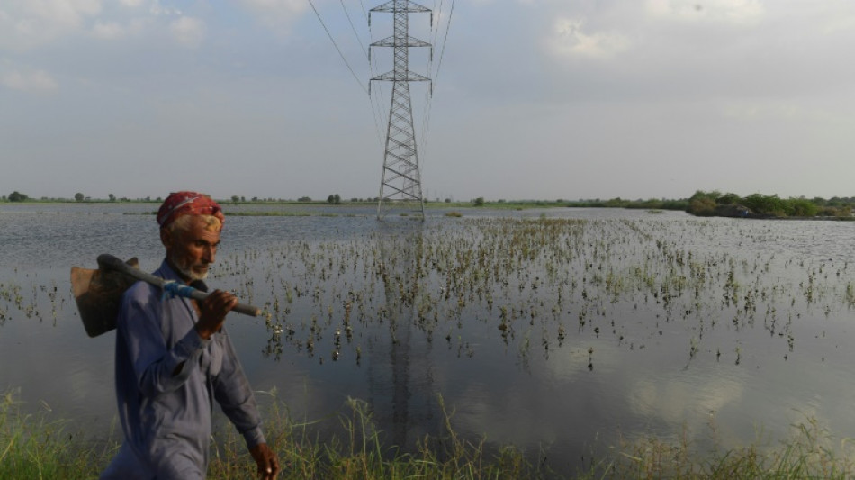 Inondations au Pakistan: les agriculteurs "revenus 50 ans en arri&egrave;re"