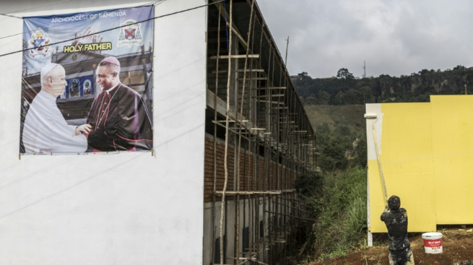 Pope to visit Cameroon conflict zone under high security