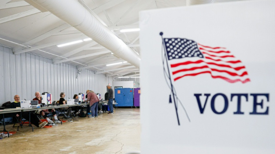 'Fake' pollsters hit US midterms