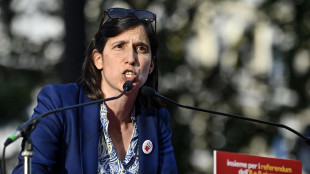 Schlein, non è decreto sicurezza è decreto repressione