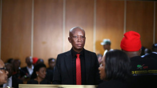 S.African left-wing leader sentenced to jail term on gun charges