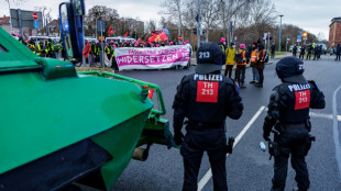 AfD-Parteitag beginnt wegen Protestaktionen in Riesa versp&auml;tet