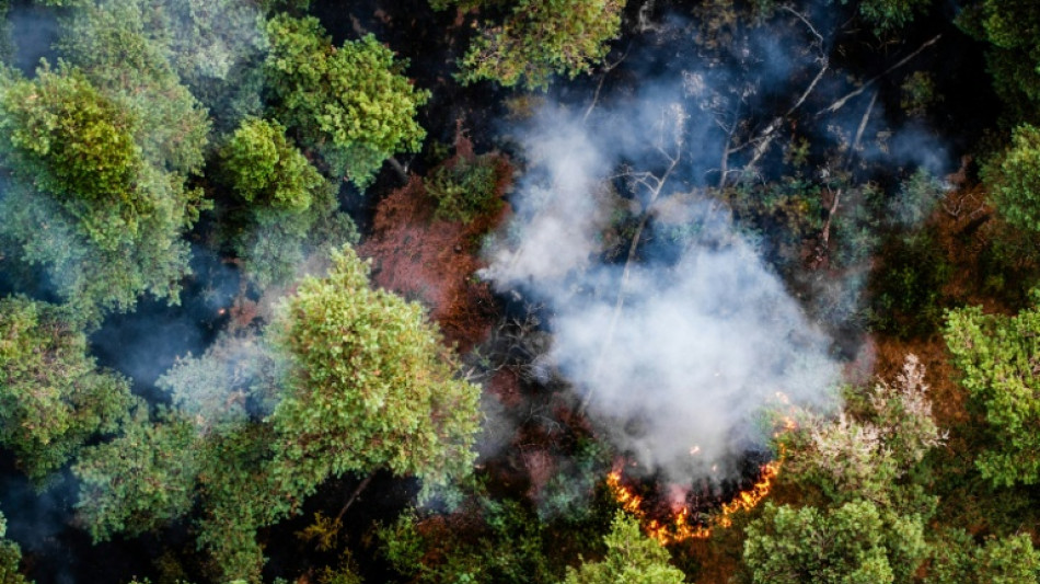 Feuerwehrleute und Hubschrauber bek&auml;mpfen Brand in Naturschutzgebiet in Niederlanden