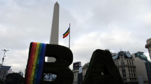 Argentina, 'lo Stato non dovrebbe promuovere l'omosessualit&agrave;'