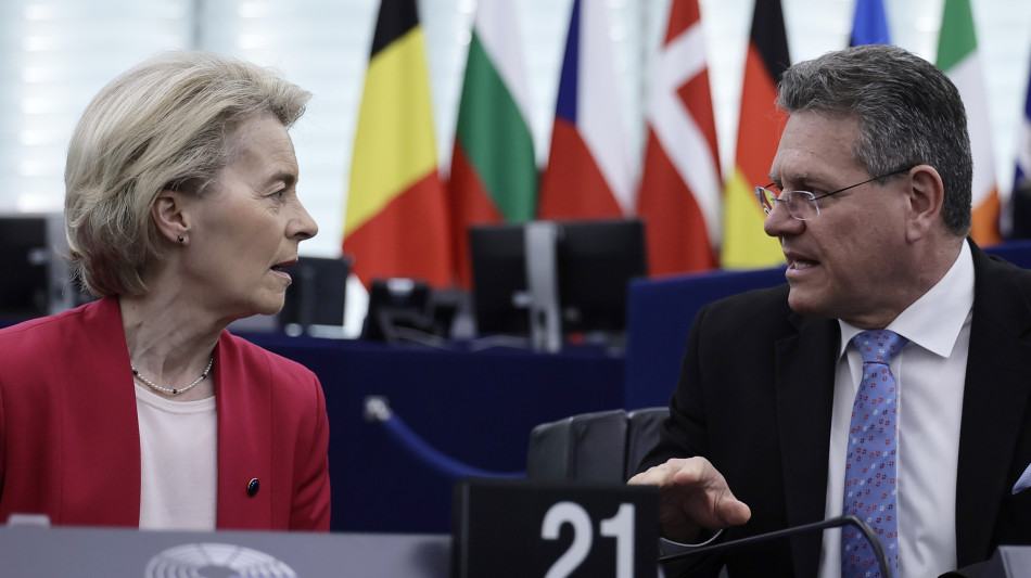 Ft, 'l'Ue si aspetta dazi al 20%, varranno per tutti e 27'
