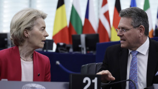 Ft, 'l'Ue si aspetta dazi al 20%, varranno per tutti e 27'