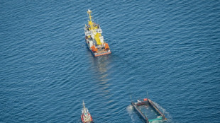 Contin&uacute;a en aguas danesas el remolque de la ballena varada en Alemania