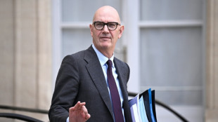 Poupées à caractère pédocriminel: Shein sous la menace d'une interdiction