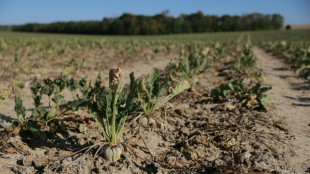Agriculture: les nouvelles annonces, avec des pr&ecirc;ts &agrave; taux z&eacute;ro, divisent les syndicats