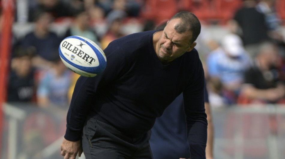 Busy Argentina boss Cheika has no qualms over rugby job-juggling