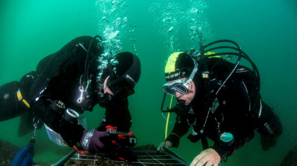 Au large de Lisbonne, une exp&eacute;dition scientifique pour mieux conna&icirc;tre et prot&eacute;ger le littoral