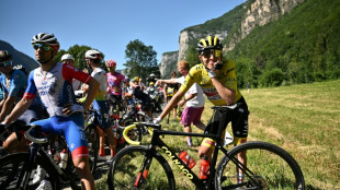 Tour de France: la 10e &eacute;tape interrompue pr&egrave;s d'un quart d'heure