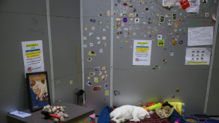 Living like sultans: Istanbul's pampered street cats
