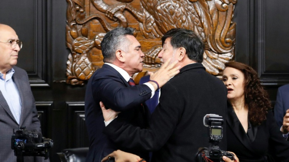 Senadores mexicanos se enfrentan a golpes tras un debate sobre EEUU