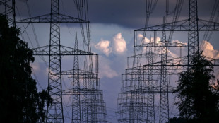 DIHK-Umfrage: Vertrauen der Wirtschaft in Energiepolitik auf Tiefpunkt gesunken 