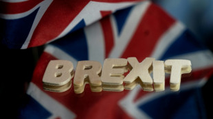 Brexit: dix ans apr&egrave;s le vote, les petits patrons britanniques en premi&egrave;re ligne