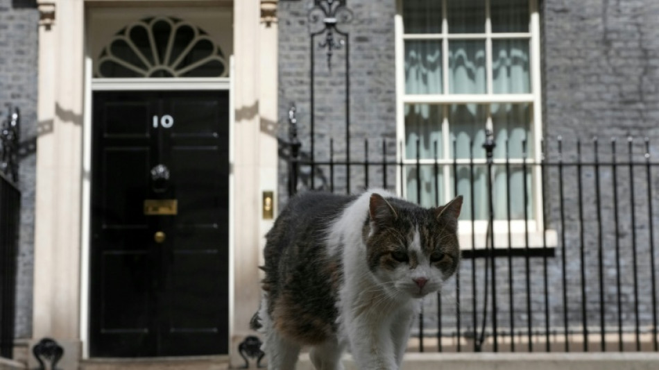 Gato Larry recebe seu s&eacute;timo primeiro-ministro em Downing Street