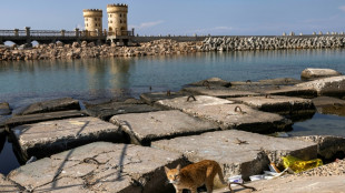D&eacute;couverte de l'&eacute;pave d'un bateau antique dans la rade d'Alexandrie