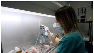 Nanoparticelle smart anti-tumore, aiutano le cellule immunitarie