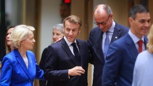 Ue, 'decisione su uso asset russi e fondi a Kiev a dicembre'