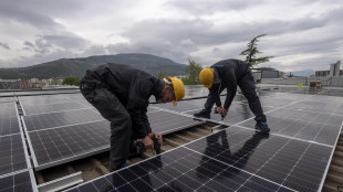 Istat, oltre metà imprese guardano a sostenibilità ambientale
