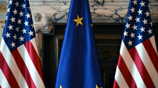 EU urges US to stick to tariff deal terms