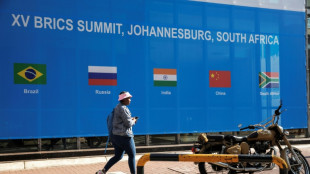 Brics-Gipfel im s&uuml;dafrikanischen Johannesburg beginnt