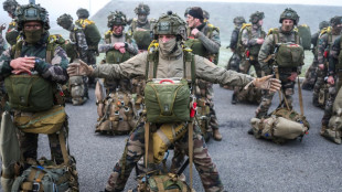 Les "paras" fran&ccedil;ais &agrave; l'assaut contre un coriace ennemi fictif 