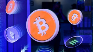 Porté par un vent d'optimisme, le bitcoin bat un nouveau record