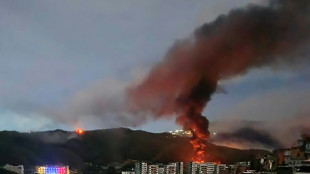 New Venezuela leader says 'no foreign power' running country