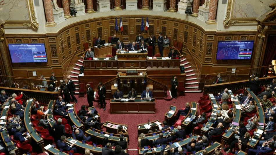 Budget: le S&eacute;nat s'oppose &agrave; la surtaxe sur les entreprises