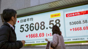 Les Bourses mondiales perch&eacute;es au sommet, records des m&eacute;taux 