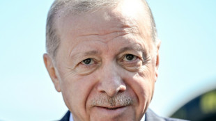 Erdogan reclama la inclusi&oacute;n de Turqu&iacute;a en las estructuras de defensa europeas
