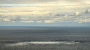 Nord-Stream-Sprengungen: US-Bericht &uuml;ber Billigung durch Kiew zur&uuml;ckgewiesen