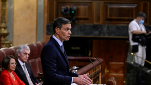 Madrid annonce une taxe exceptionnelle sur les groupes &eacute;nerg&eacute;tiques et financiers 
