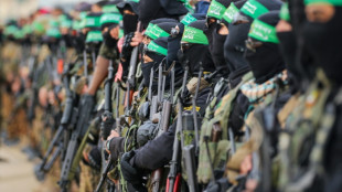 Hamas agrees to disarm: what are the challenges ahead?