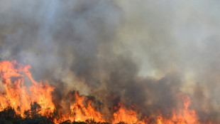 Incendie dans l'H&eacute;rault fix&eacute;, nouveaux feux en Ard&egrave;che dans une France toujours &agrave; sec