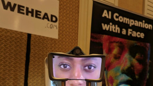 Highlights from CES: Talking heads, airlifts and checkpoints for pets